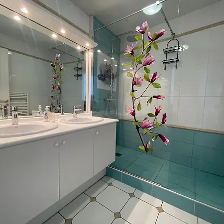 A Arcachon, 4 Personnes, Vue Bassin, Parking - Fr-1-474-277 * Arcachon